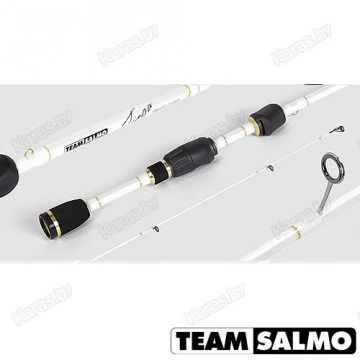 Спиннинг Team Salmo TIOGA SMALL GAME 6, 2,31 м, тест: 0.5-6 г , 85 г